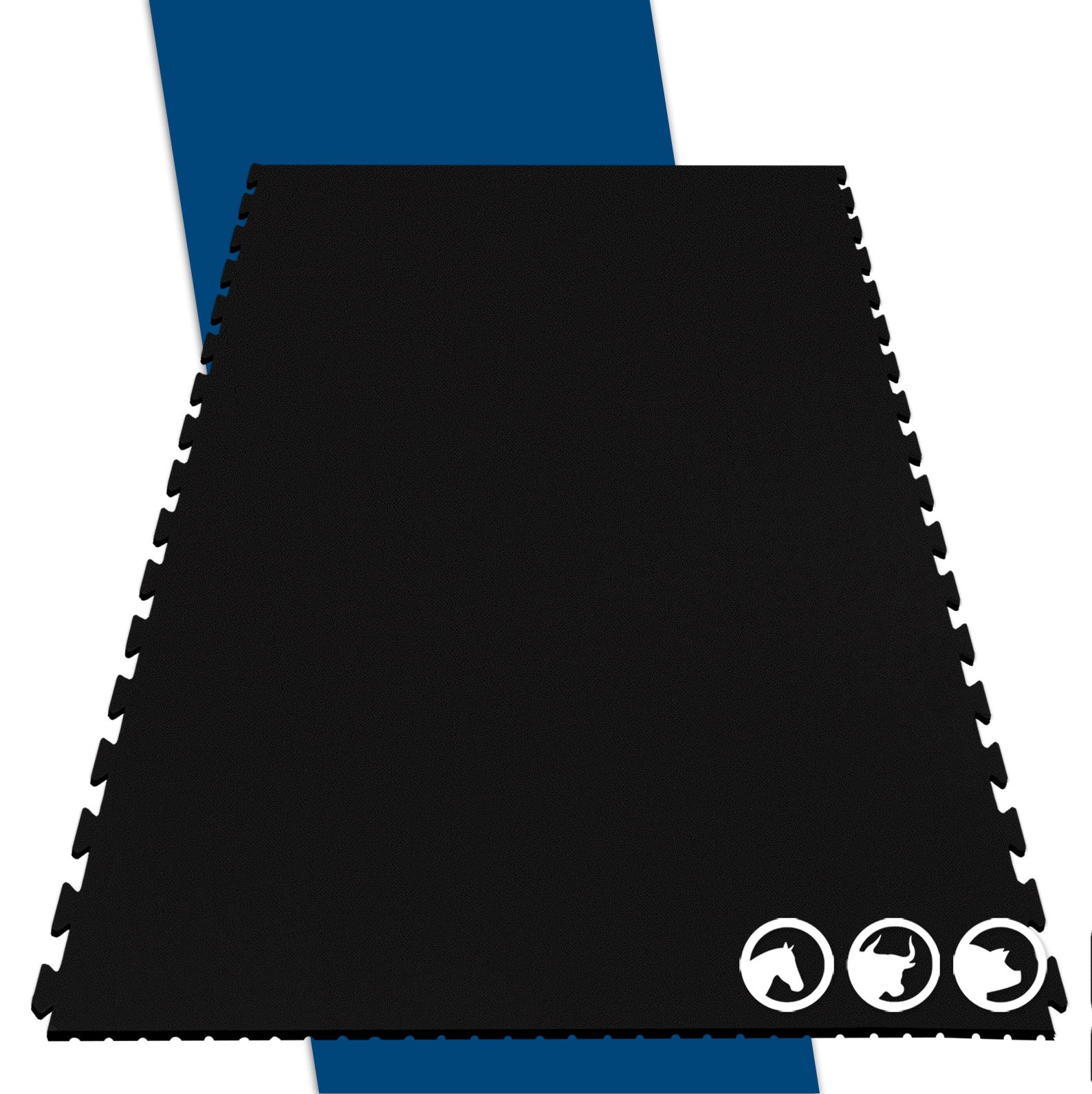 F2_Interverrouillage bilatéral