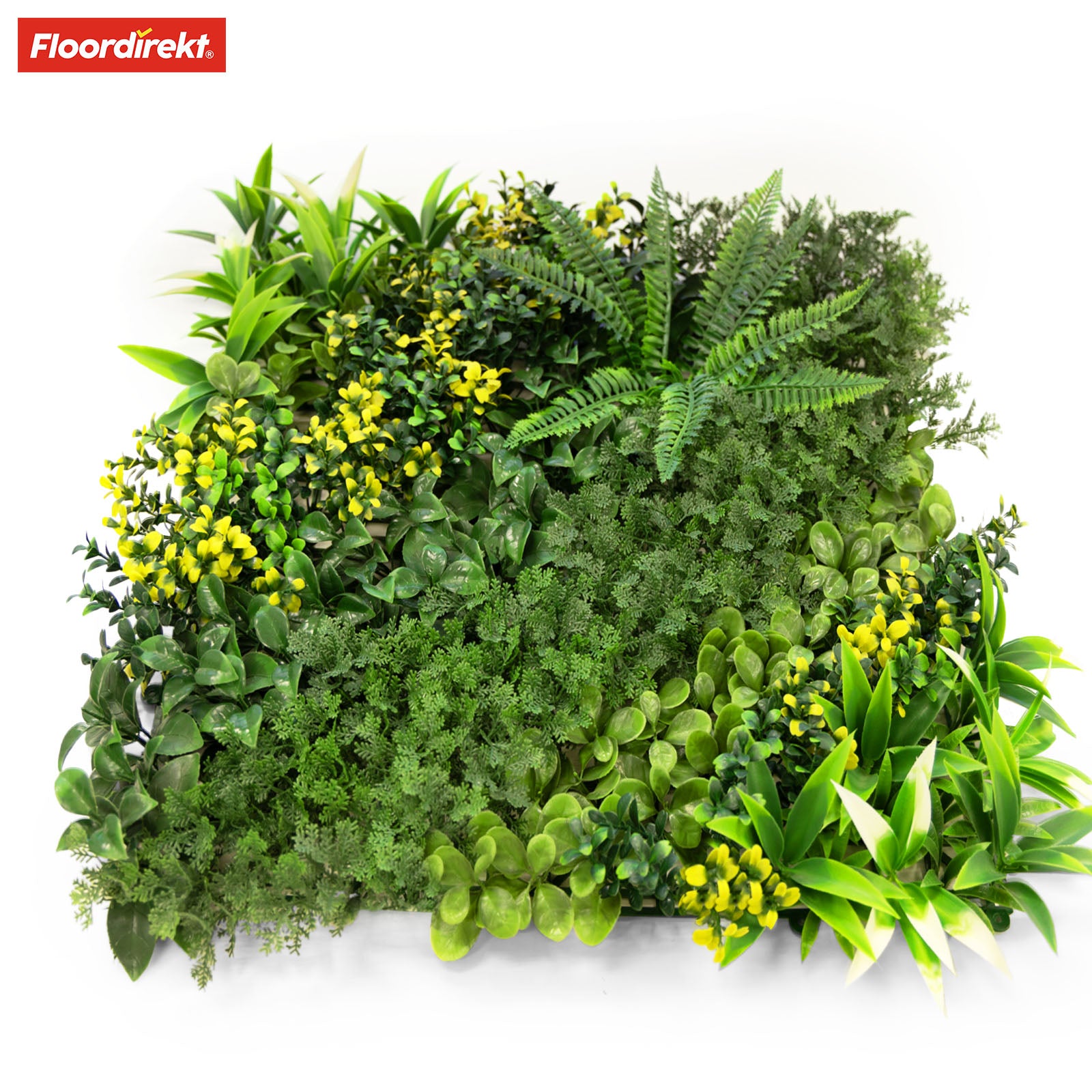 Mur végétal | Multiéléments | Oasis de verdure polyvalente et facile d'entretien pour votre aménagement intérieur | 50 x 50 cm