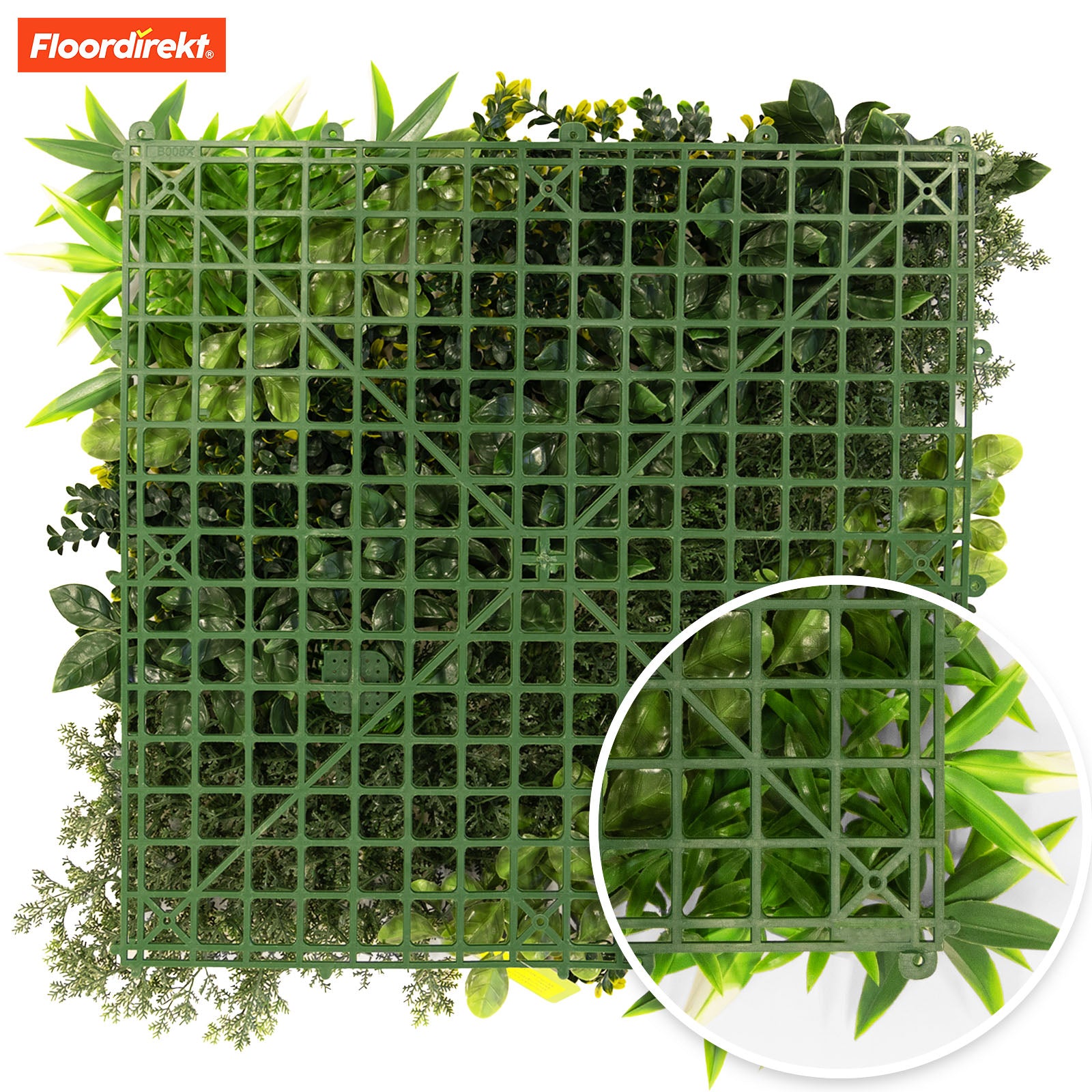 Mur végétal | Multiéléments | Oasis de verdure polyvalente et facile d'entretien pour votre aménagement intérieur | 50 x 50 cm