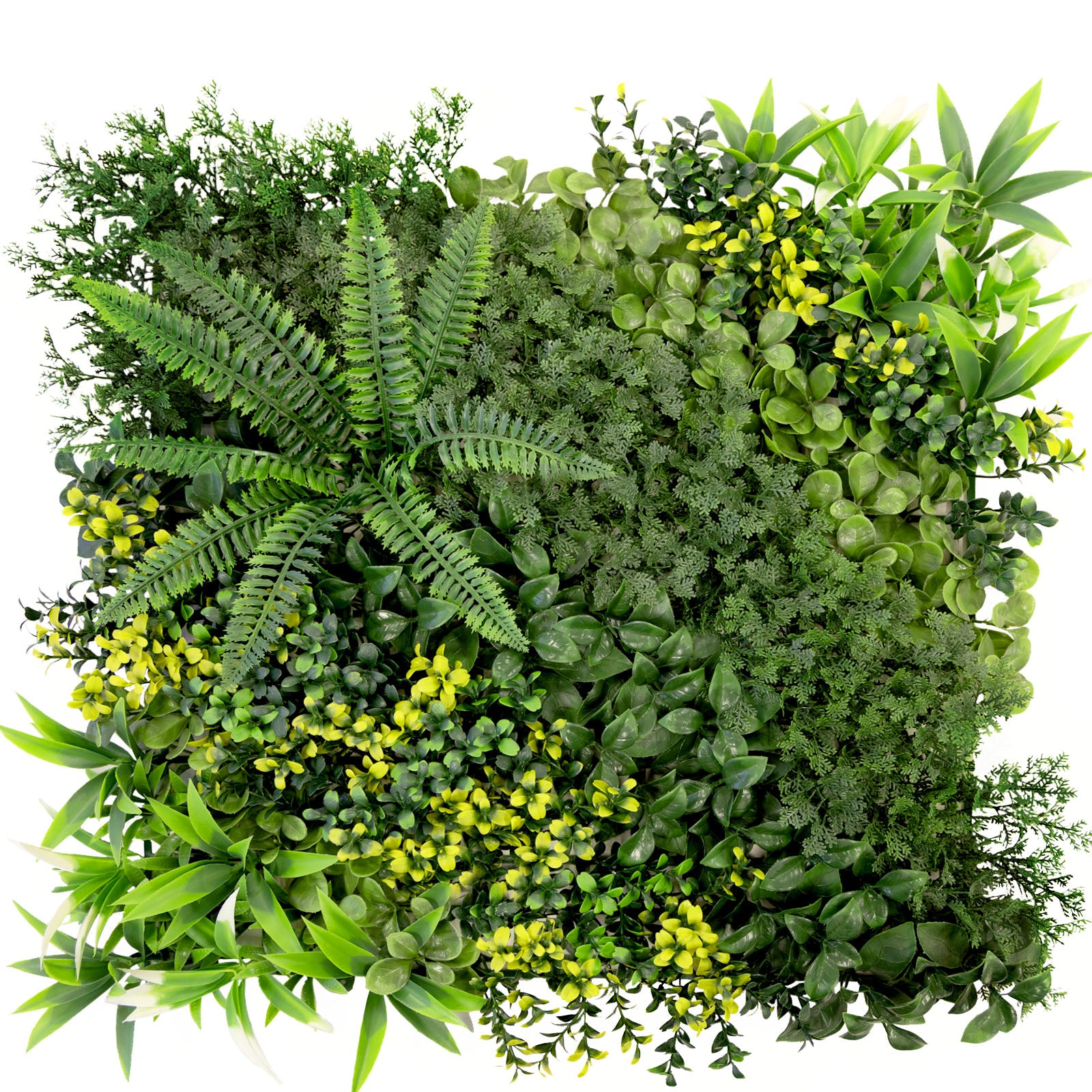 Mur végétal | Multiéléments | Oasis de verdure polyvalente et facile d'entretien pour votre aménagement intérieur | 50 x 50 cm