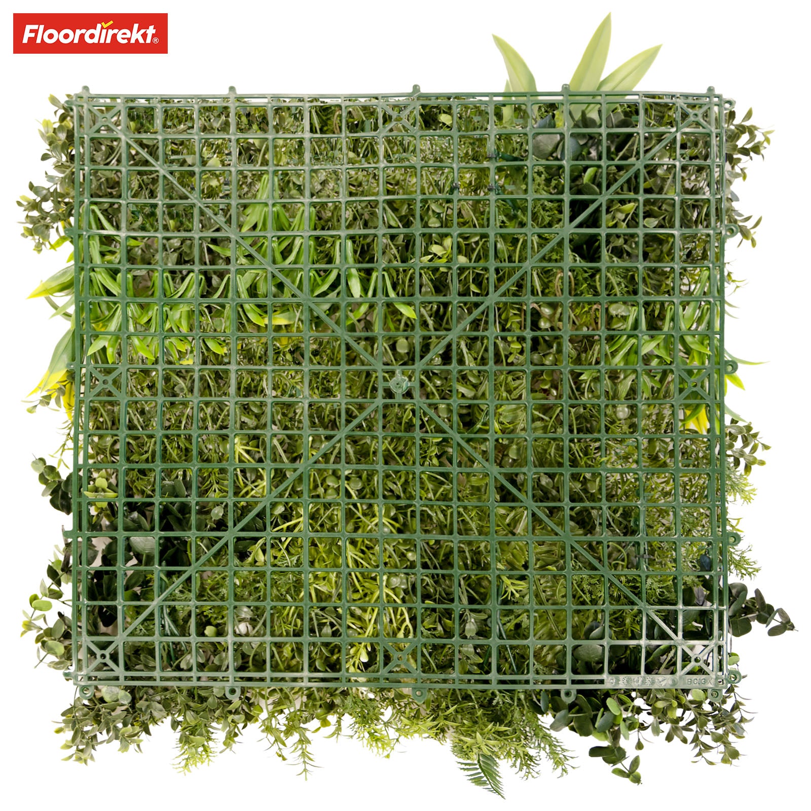 Mur végétal | Rhea | Décoration murale élégante avec plantes vertes et fleurs blanches | 50 x 50 cm