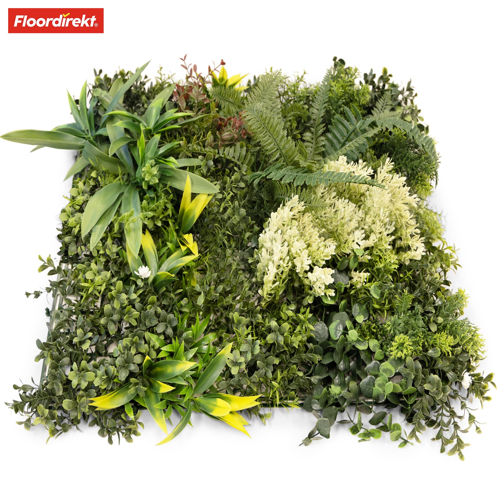 Mur végétal | Rhea | Décoration murale élégante avec plantes vertes et fleurs blanches | 50 x 50 cm