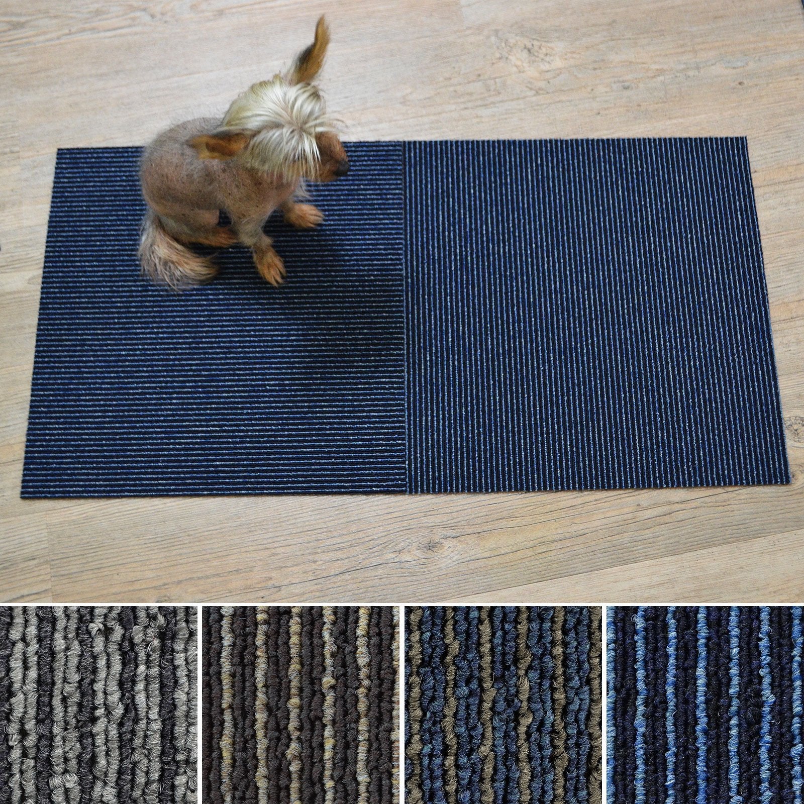 A2_Bleu foncé | Bleu foncé