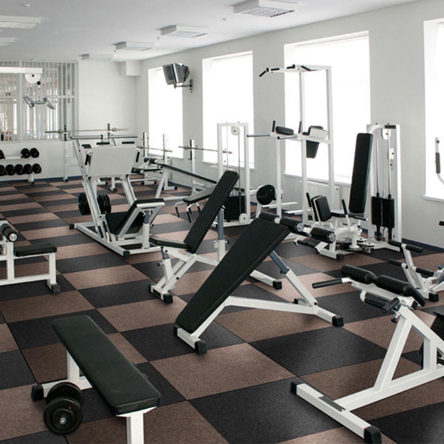 A1_Anthracite| Anthracite