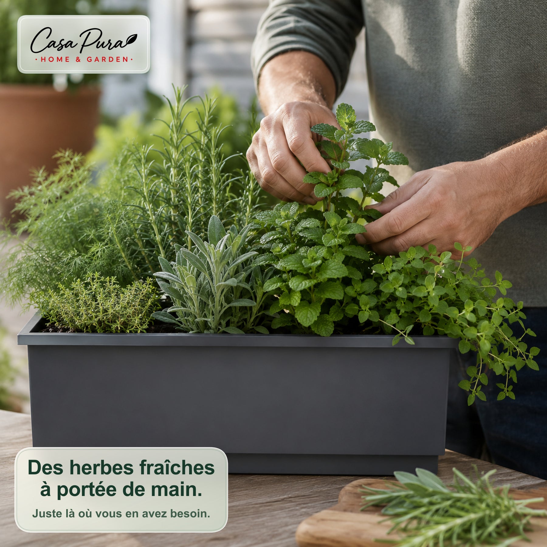Jardinière de balcon | Viola | Jardinière en métal avec bac récupérateur pour balcon & garde-corps