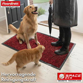 Tapis anti-salissures | Space 205 | Tapis antidérapant avec technologie TPE innovante sur les bords et au dos | Idéal pour les entrées, les couloirs et les portes d'entrée | Disponible en différentes couleurs et tailles