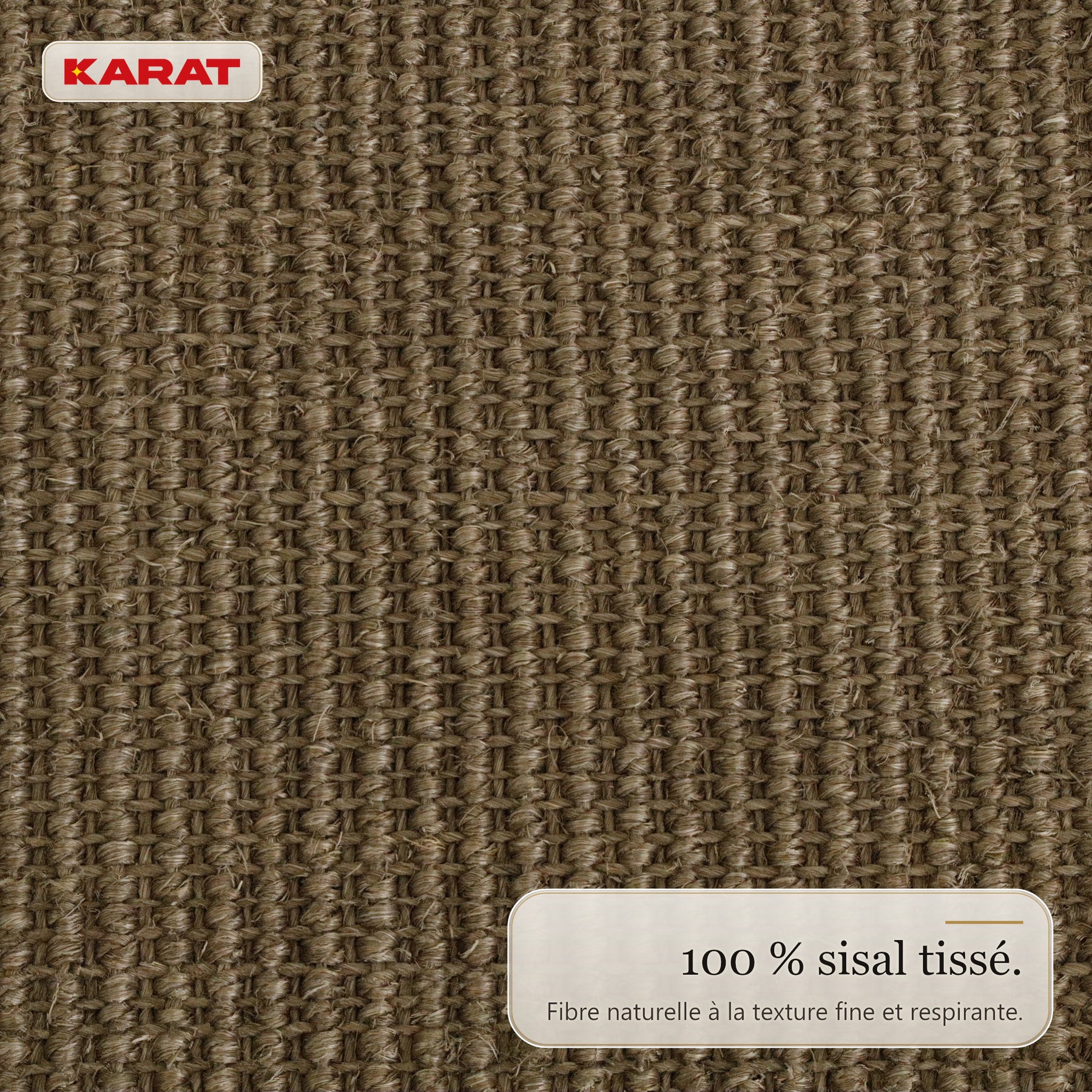T2_Taupe
