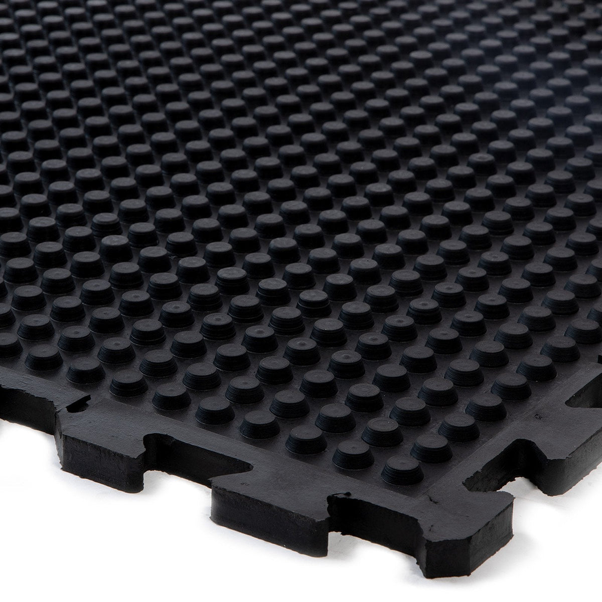 Tapis et auvent de camping - PEHD 240 g/m² - Avec œillets en acier inoxydable et 4
