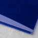 F2_Bleu