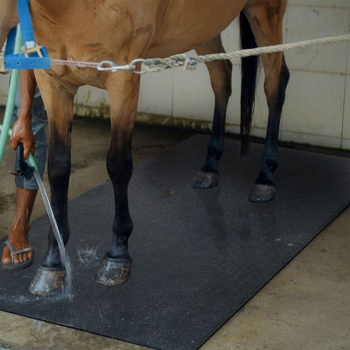 Tapis D'écurie Swish 6'3" 200g, Couverture Cheval D'occasion En Bon état