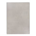 F1_Gris clair 173