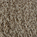 F4_Beige | Beige