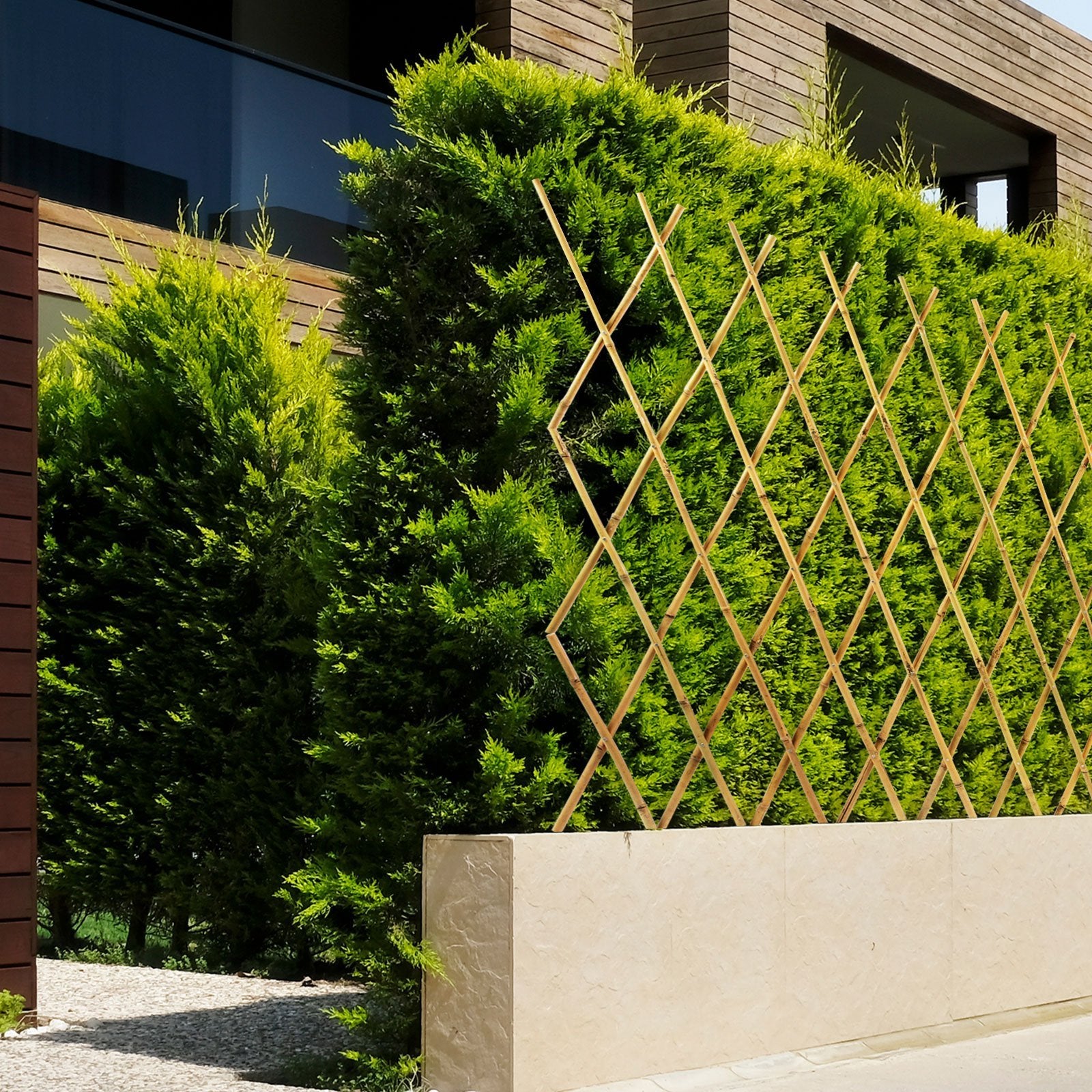 Treillis extensible en bambou