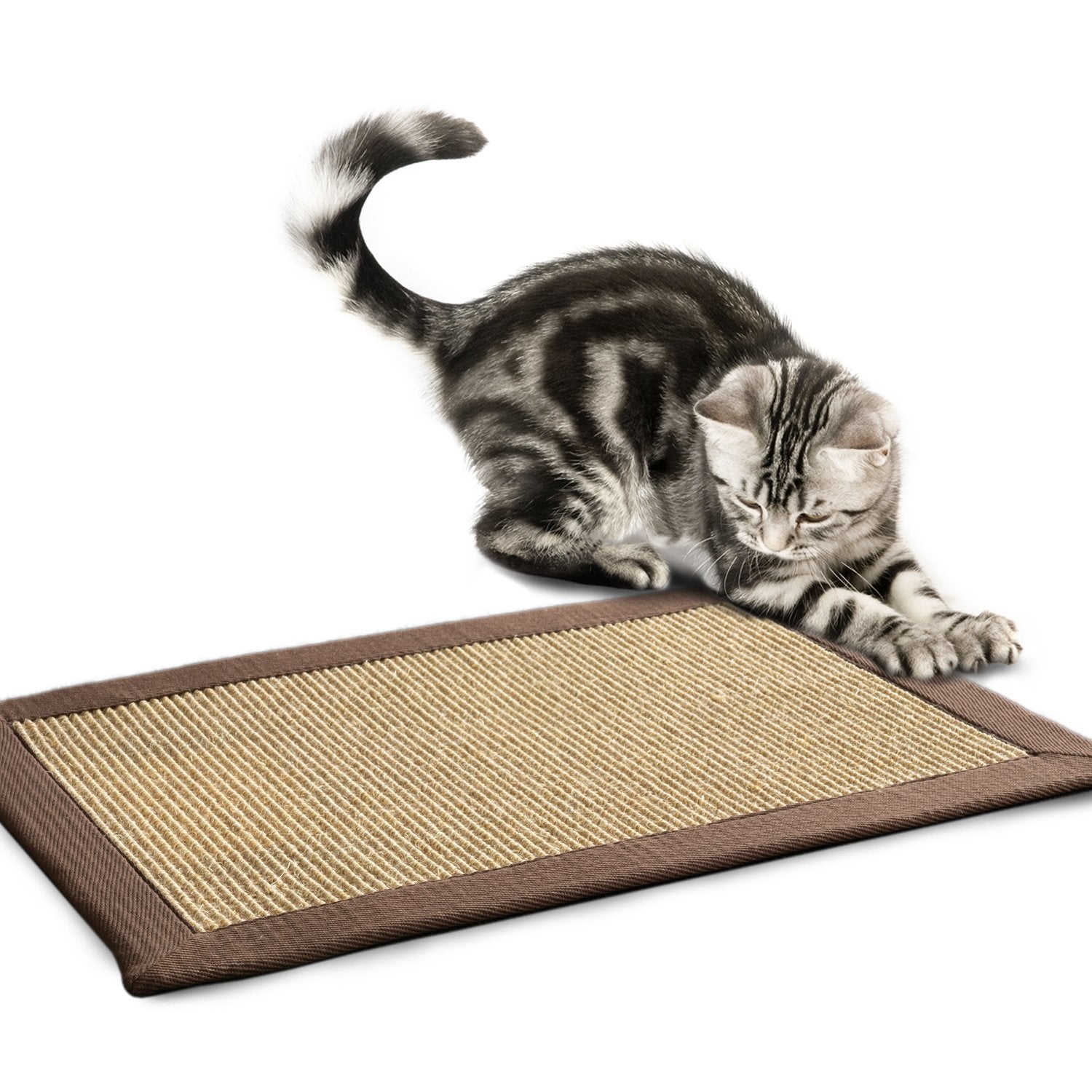 Tapis Griffoir Tapis à Chat en Sisal 50 x 50 cm Marron foncé Tapis Griffoir Tapis à Chat en Sisal 50 x 50 cm Marron foncé