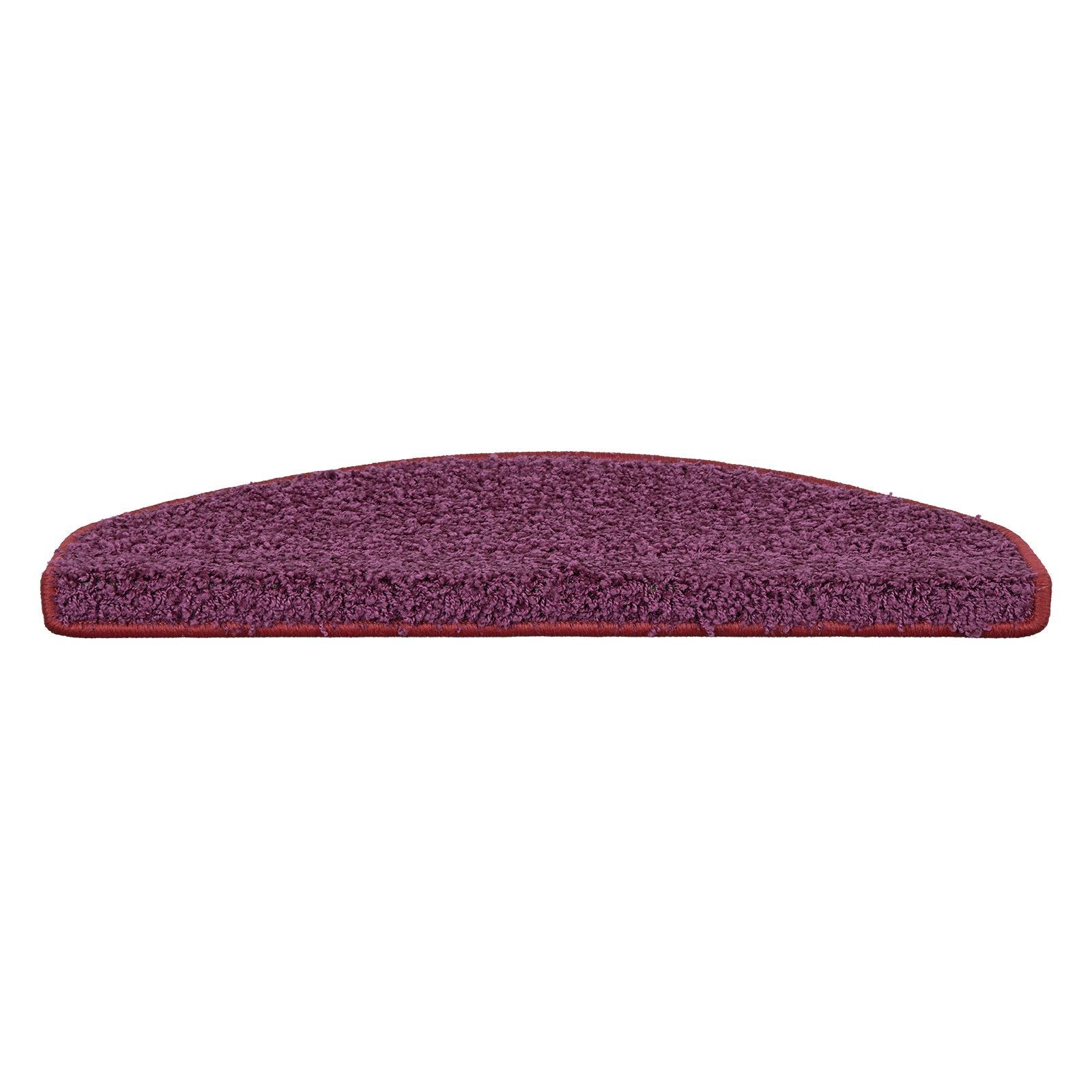 F5_fd-29067,fd-5013 | Violet | Semicirculaire